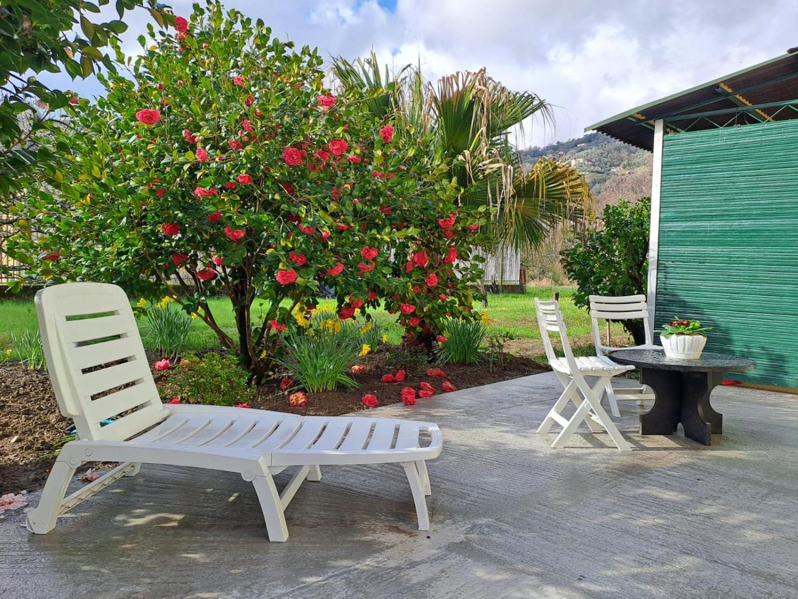 Sunny House Villa Carasco ภายนอก รูปภาพ