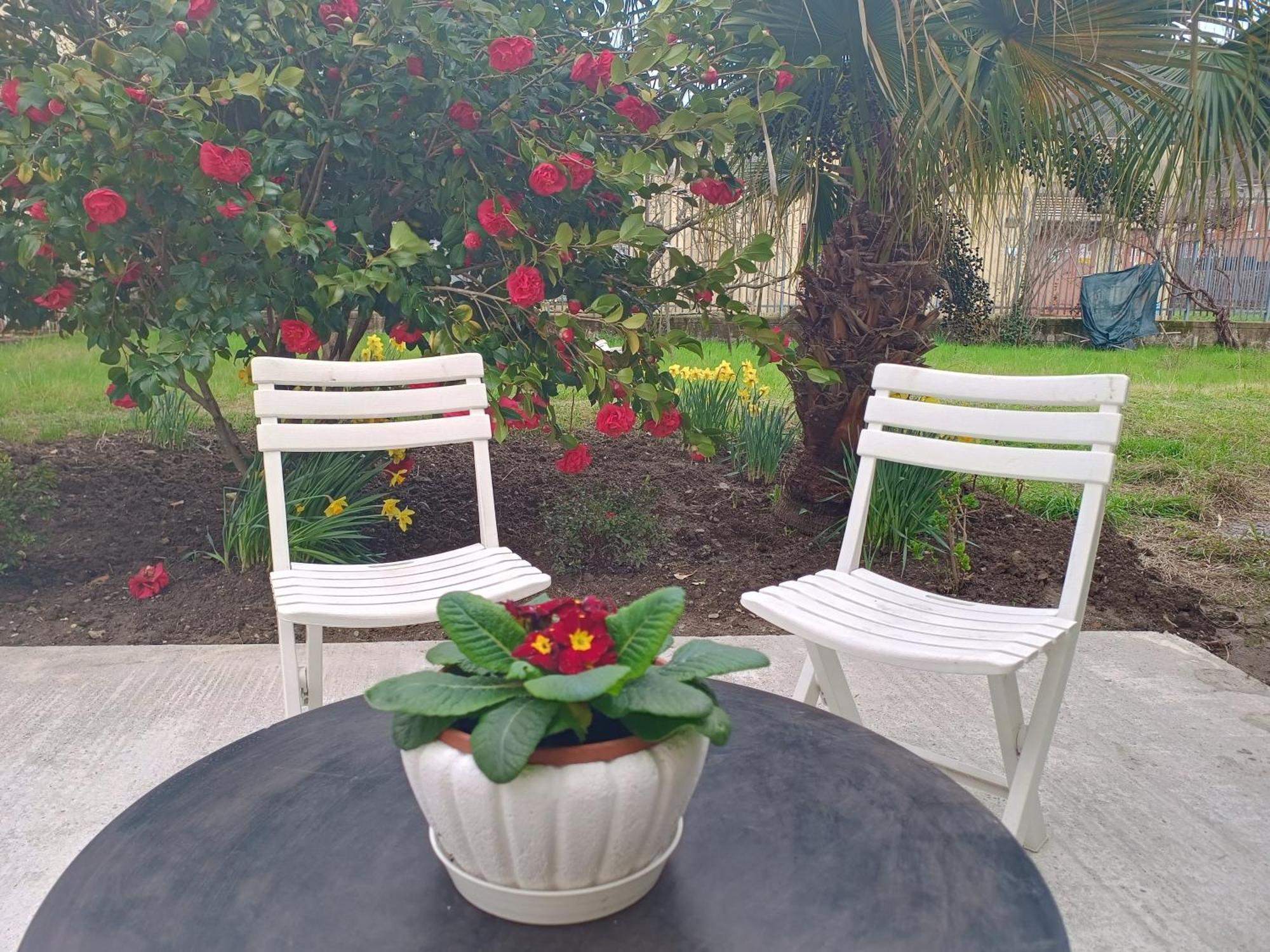Sunny House Villa Carasco ภายนอก รูปภาพ